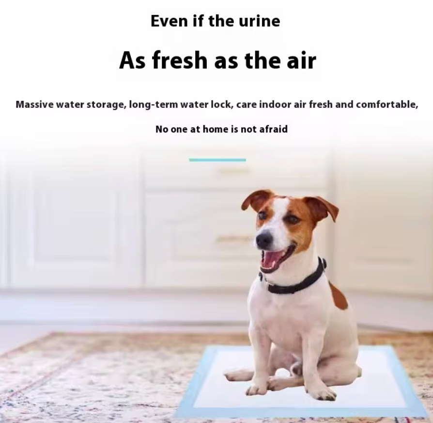 Pañales Entrenamiento Mascotas Premium x50