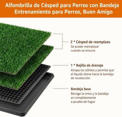 Alfombra sanitaria perros pasto artificial interior bandeja