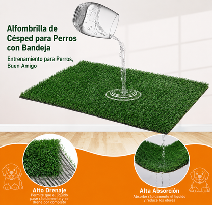 Alfombra sanitaria perros pasto artificial interior bandeja