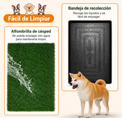 Alfombra sanitaria perros pasto artificial interior bandeja