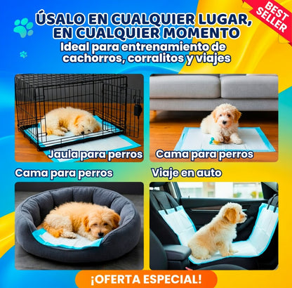 Pañales Entrenamiento Mascotas Premium x50