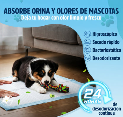 Pañales Entrenamiento Mascotas Premium x50