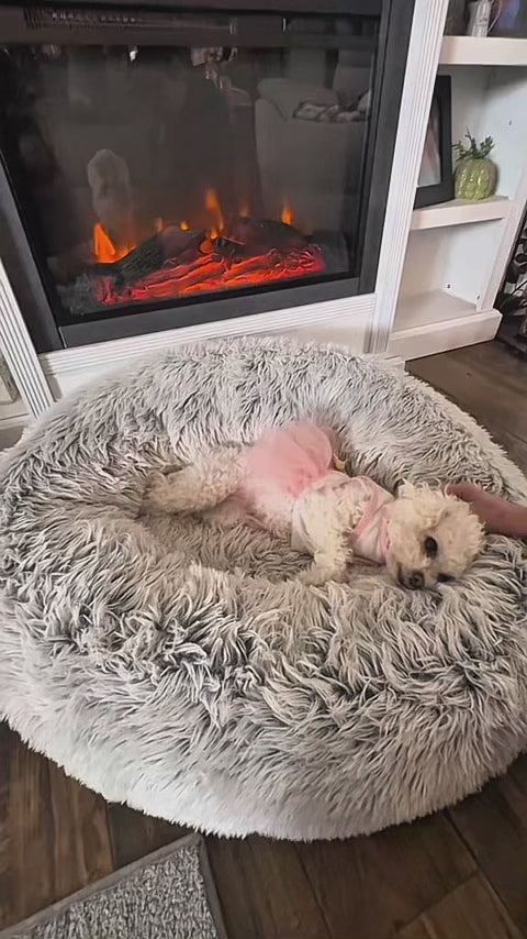 Cama Cucha Super Suave para Perros y Gatos "XL"