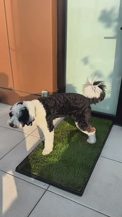 Alfombra sanitaria perros pasto artificial interior bandeja