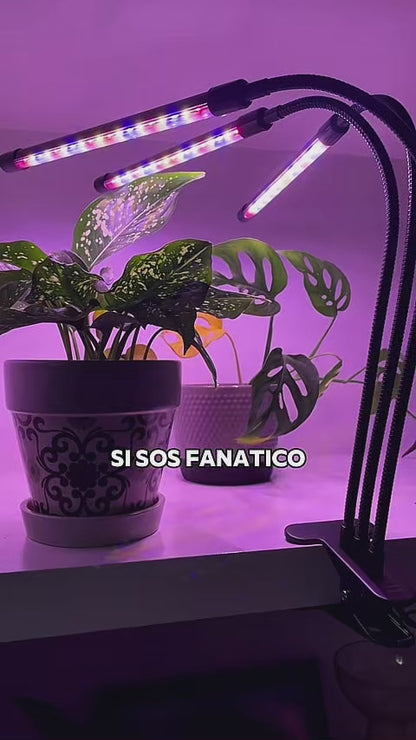 Luces de cultivo LED para plantas de interior, lámparas de encendido y apagado automático