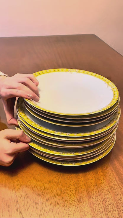 Organizador de Platos Extraible