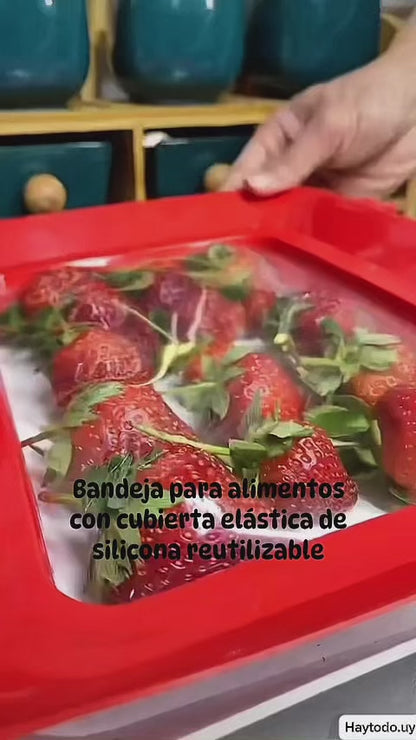 Bandeja para alimentos, con cubierta elástica de silicona reutilizable