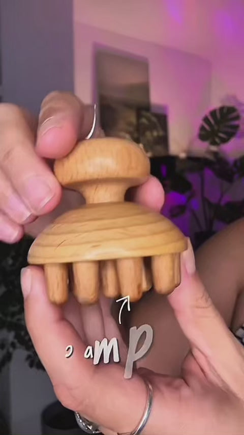 Champiñon Mini Maderoterapia Calidad A+++